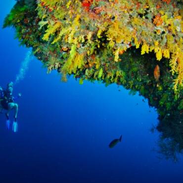 Anantara_Kihavah_Maldives_Villas_Property_Amenity_Yellow_Wall_House_Reef