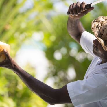 Anantara_Dhigu_Maldives_Resort_Property_Amenity_Detail_Coconut_Guru