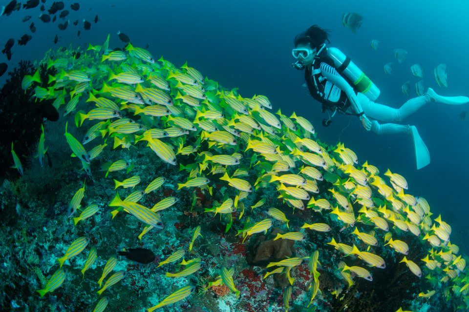 XR1YU4QM-MLDAL-Journeys-Snorkelling-960x640px