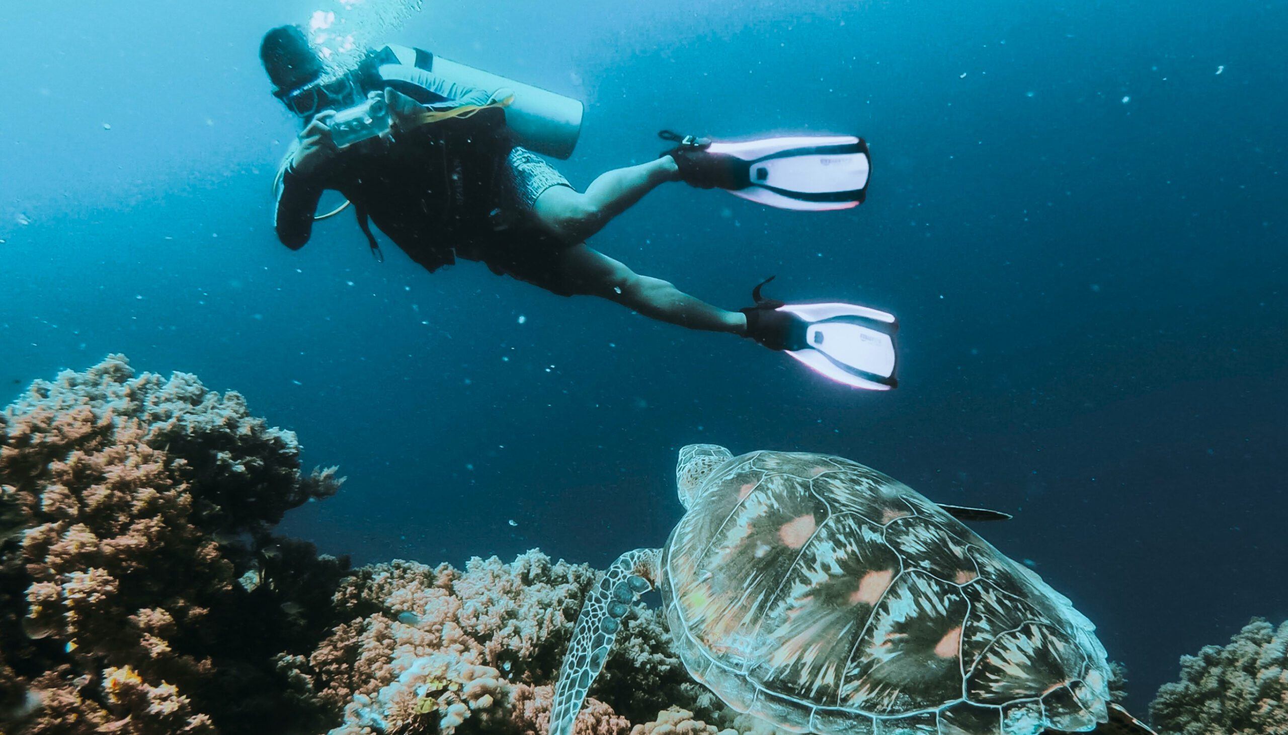 home-experiences-scuba-0518