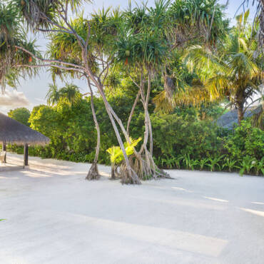 ja_manafaru_accommodation_deluxe-beach-villa_private-pool_outdoor-jpg11992a85-c07e-4103-bdda-22ec6f7f4eff