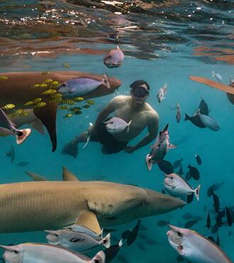so-maldives-activity-landing-page-330x440-1