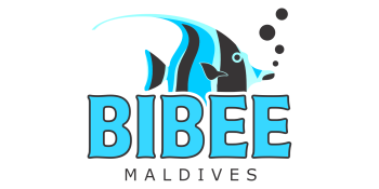bibee-new-logo-high bibee-new-logo-high