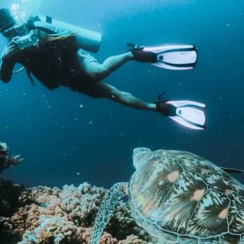 home-experiences-scuba-0518