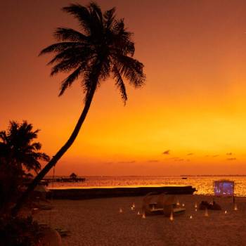 movie-under-the-stars-jpg