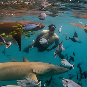 so-maldives-activity-landing-page-330x440-1