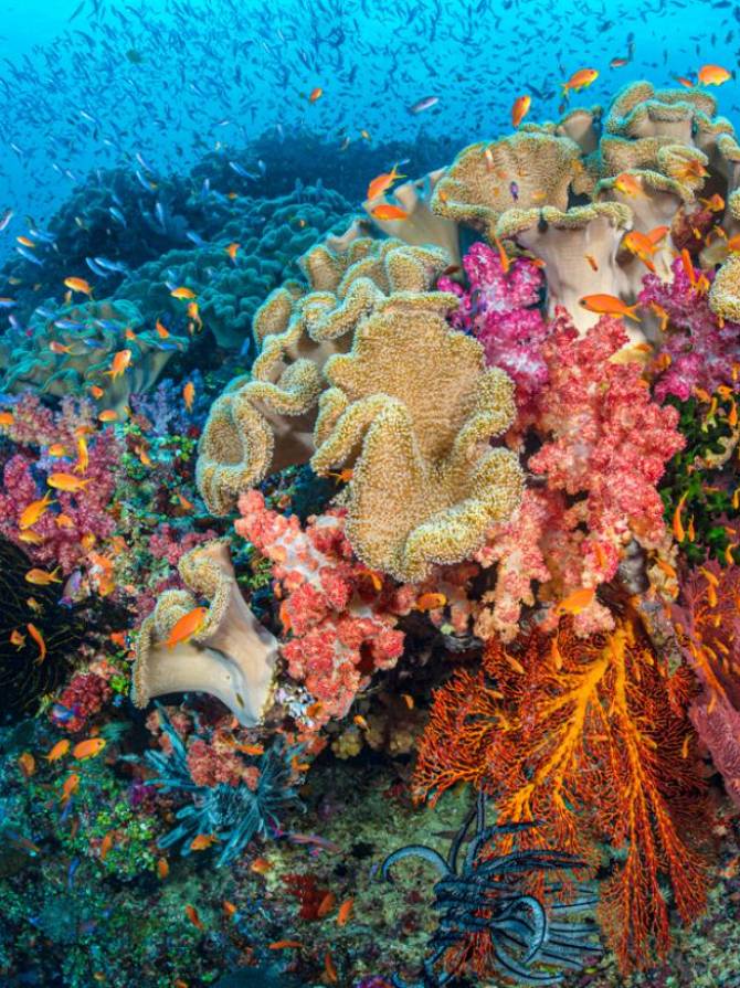 fj15alexmustard.scubadivingmagazine.november2021_0 fj15alexmustard.scubadivingmagazine.november2021_0